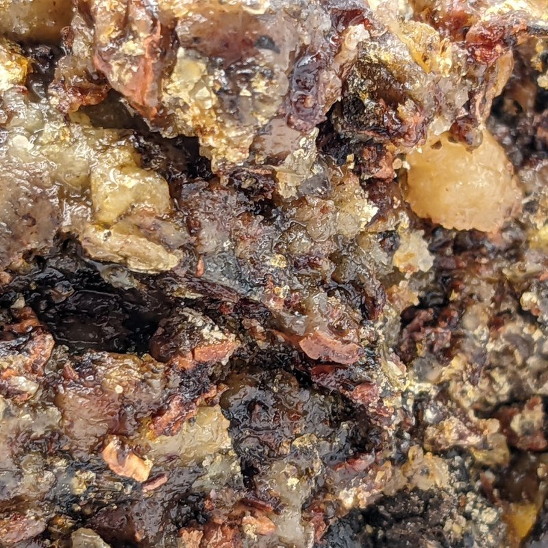 Beautiful Misunderstanding Siberian Cedar Resin 15g - น้ำหอม - เรซิน 