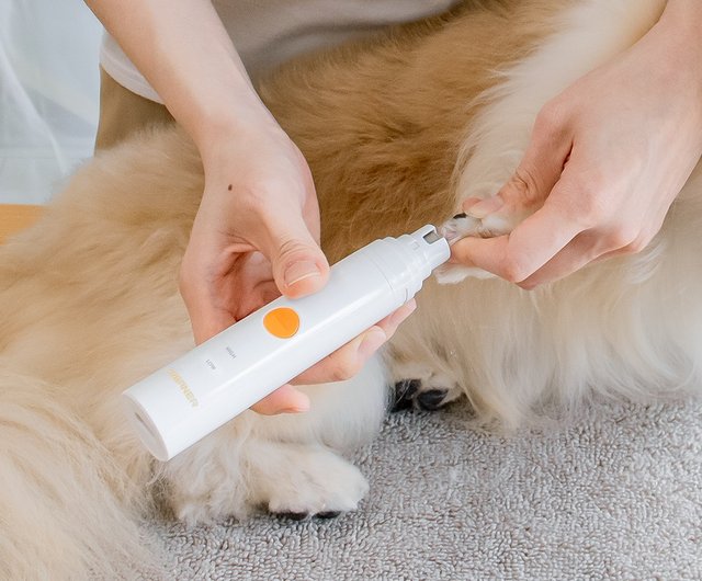 Mb 023 Auburn Pet Foot Hair Trimmer Mb 022 Upgrade Shop Urbaner Cleaning Grooming Pinkoi