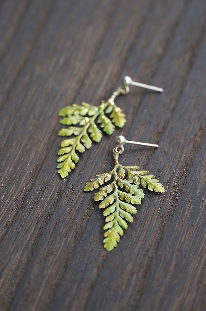 พืช/ดอกไม้ ต่างหู สีเขียว - Fern earrings