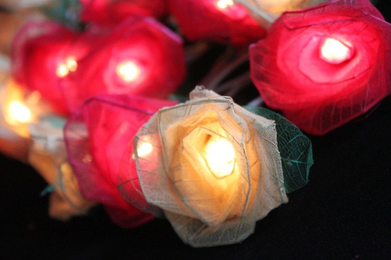 35 Romance Red &amp; White Rose String lights for Patio,Wedding,Party and Decoration