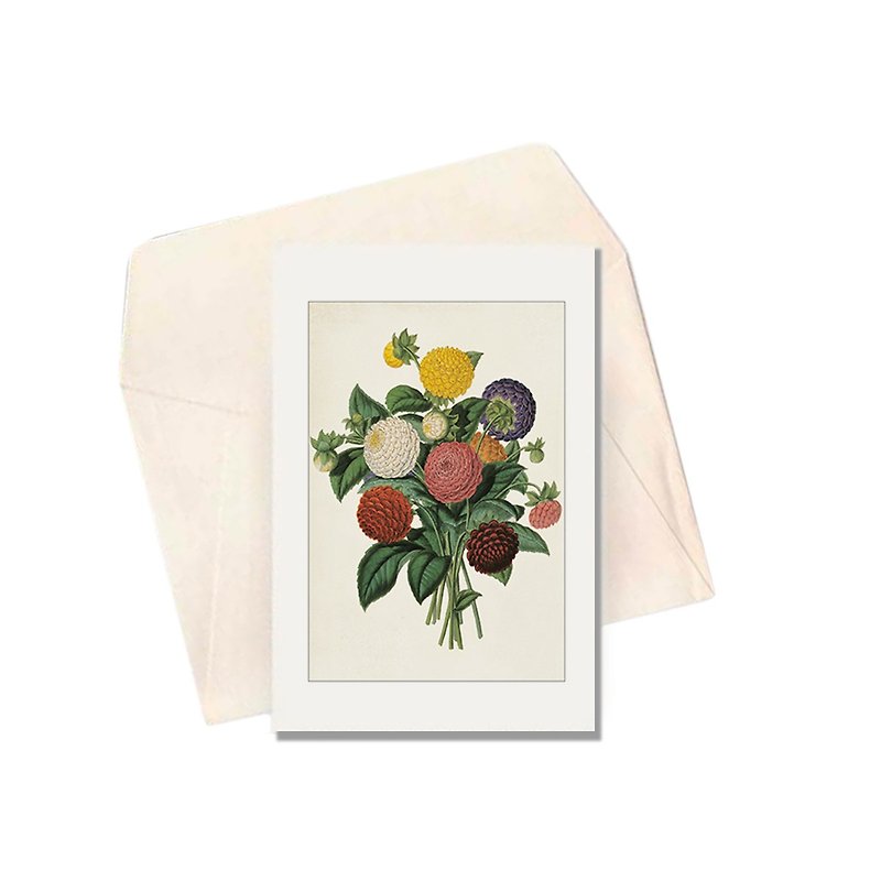 紙 卡片/明信片 - 義大利 IFI 卡片 花卉系列 乒乓菊