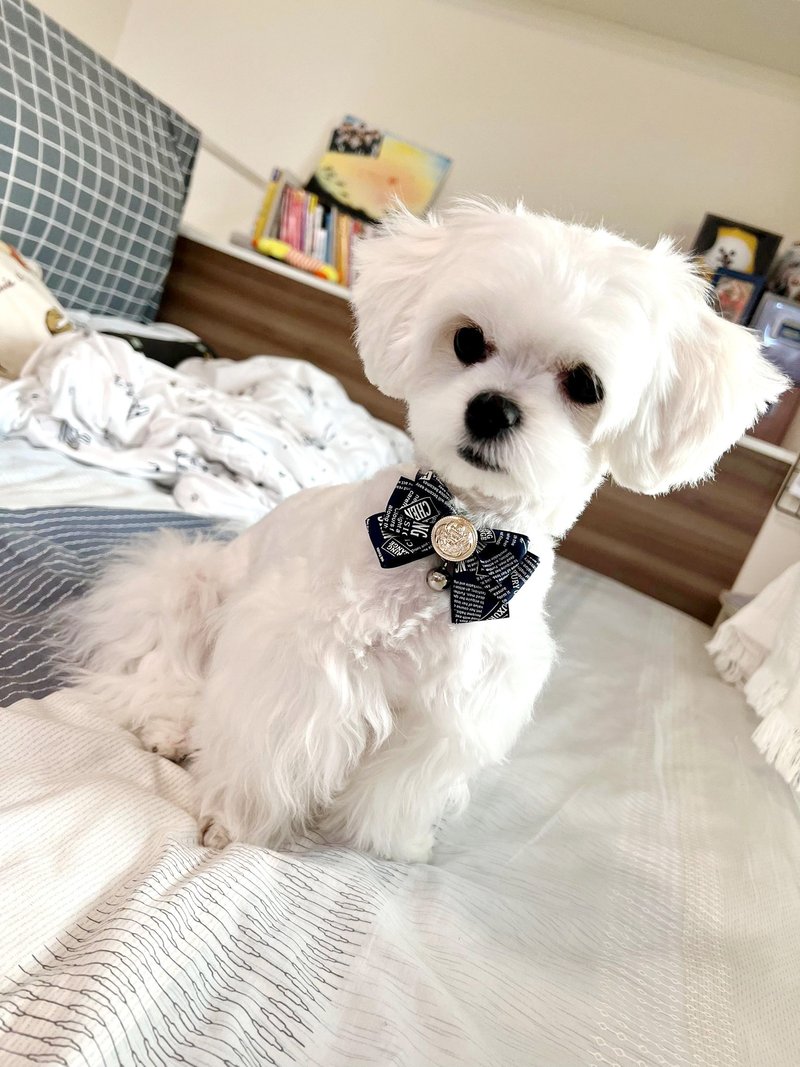 貓咪狗狗兔子鴨子-小型(P-S)-三角巾領巾項圈項鍊 貓咪安全扣 - 項圈/牽繩 - 其他材質 多色