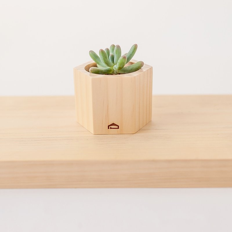 [Honeycomb wooden pot M, height 5cm] does not contain plants│succulent log flower vessel graduation gift teacher gift - ตกแต่งต้นไม้ - ไม้ 