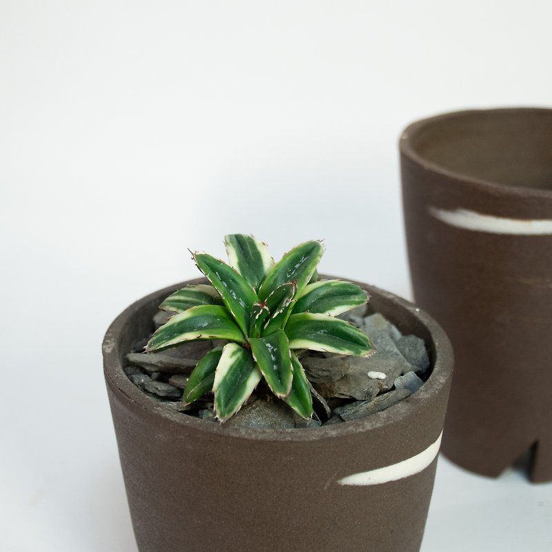 Shirakawa potted plant - ตกแต่งต้นไม้ - ดินเผา 