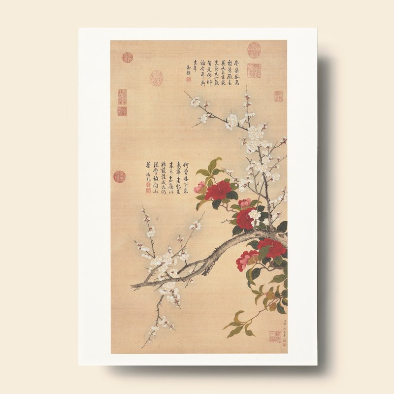 【藝術畫卡】鄒一桂 畫白梅山茶 | B4畫卡 - 海報/掛畫/掛布 - 紙 卡其色