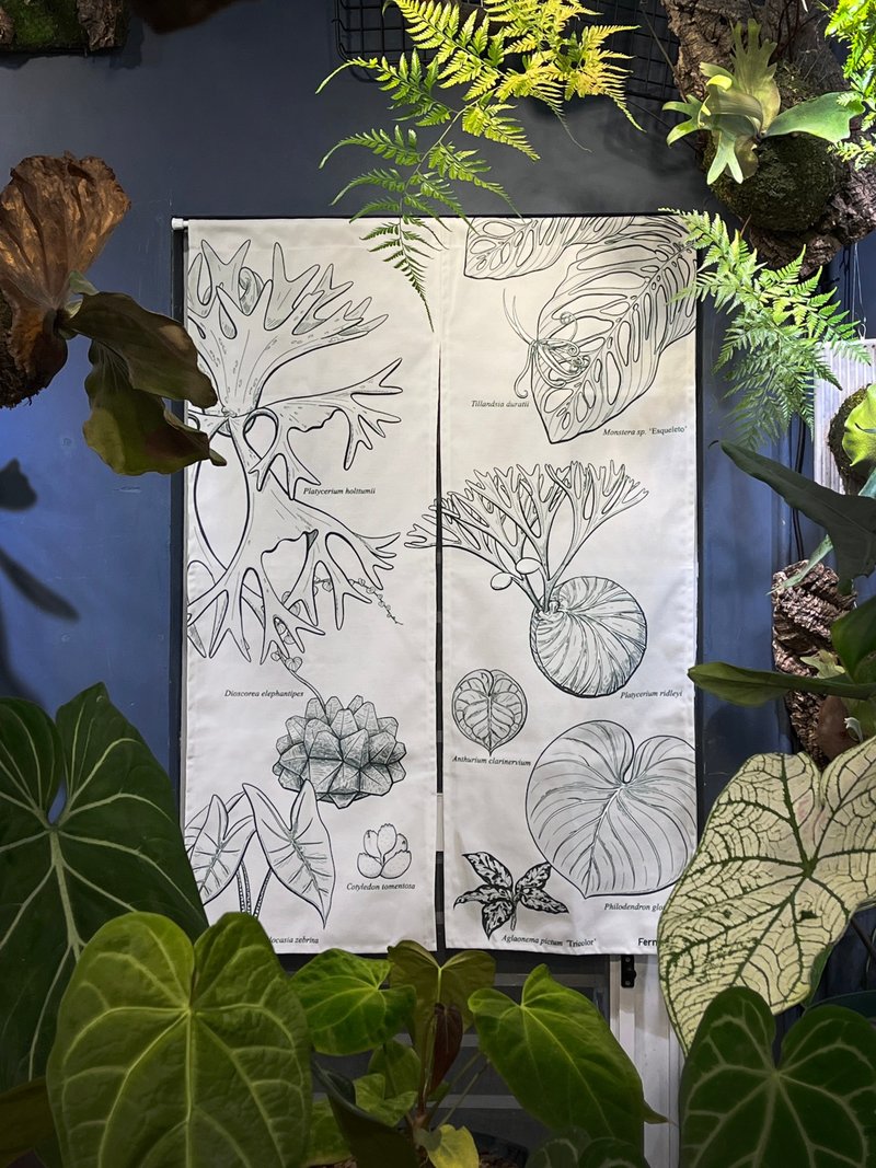 【日式門簾】觀葉好門簾 植物插畫風格 仿麻布材質 白色/綠色 - 門簾/門牌 - 聚酯纖維 白色