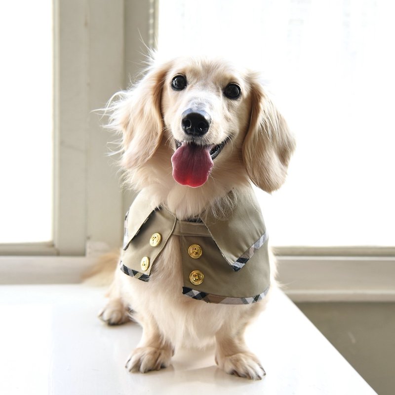 Handmade Tartan Reversible Pet Cape - Elegant Outfit- Dog/Cat【ZAZAZOO】