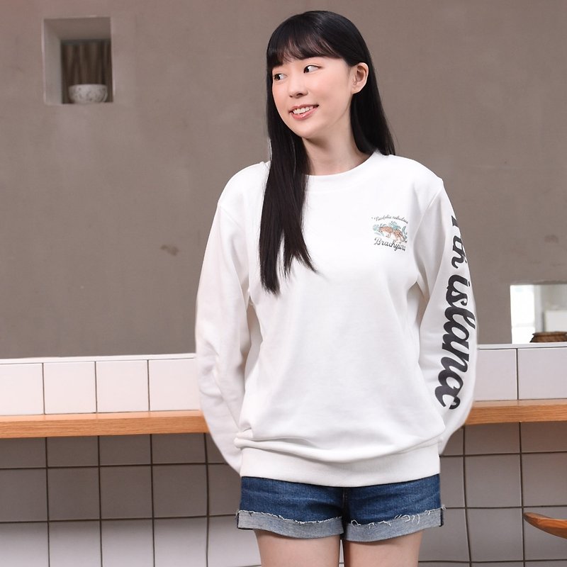 【台湾動物大学Tシャツ】 オーバーサイズの3スタイル。通気性があり、毛足がありません。ほんのり暖かいけど重くない - トップス ユニセックス - コットン・麻 