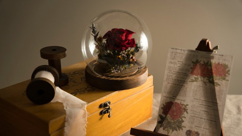 Everyday Blooms: The Language of Flowers Collection - Red Rose Dome - Dried Flowers & Bouquets - Plants & Flowers Red