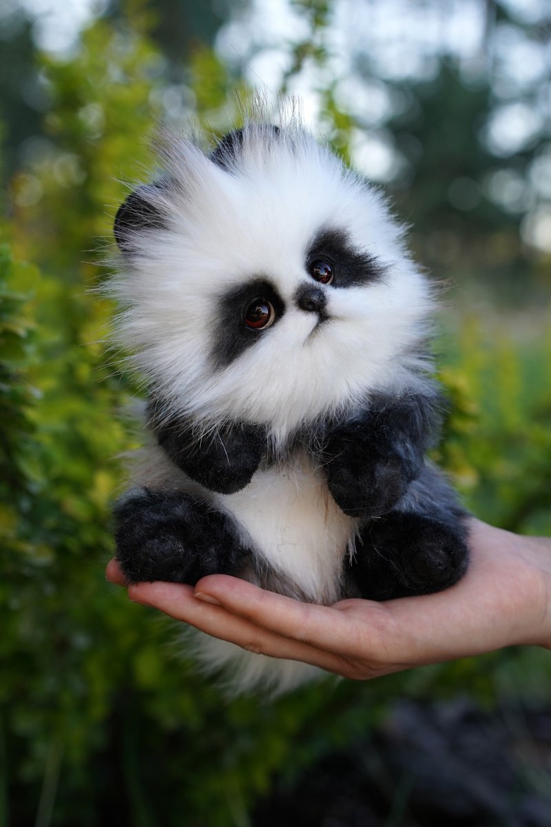 Pan Pomeranian Puppy - 公仔/玩偶 - 其他材質 多色