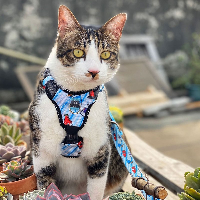 Old Friends Limited Gift PETRICK Daily Cat Strap Pattern Series - Collars & Leashes - Nylon Blue