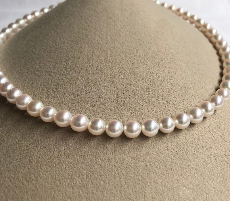 【Ltd.price】Akoya pearl necklace  sea pearl - Necklaces - Pearl White