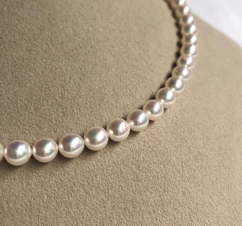 【Ltd.price】Akoya pearl necklace  sea pearl - Necklaces - Pearl White