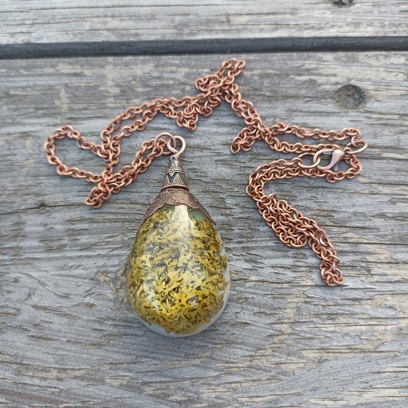 Forest necklace with lichen Witch jewelry Lichens in resin necklace 生日禮物 項鍊 - Necklaces - Resin Brown