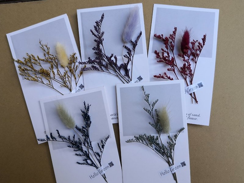 小清新白底長條乾燥花卡片 永生花 拍照道具 手工卡片 母親節 永 - 乾燥花/永生花 - 植物．花 多色
