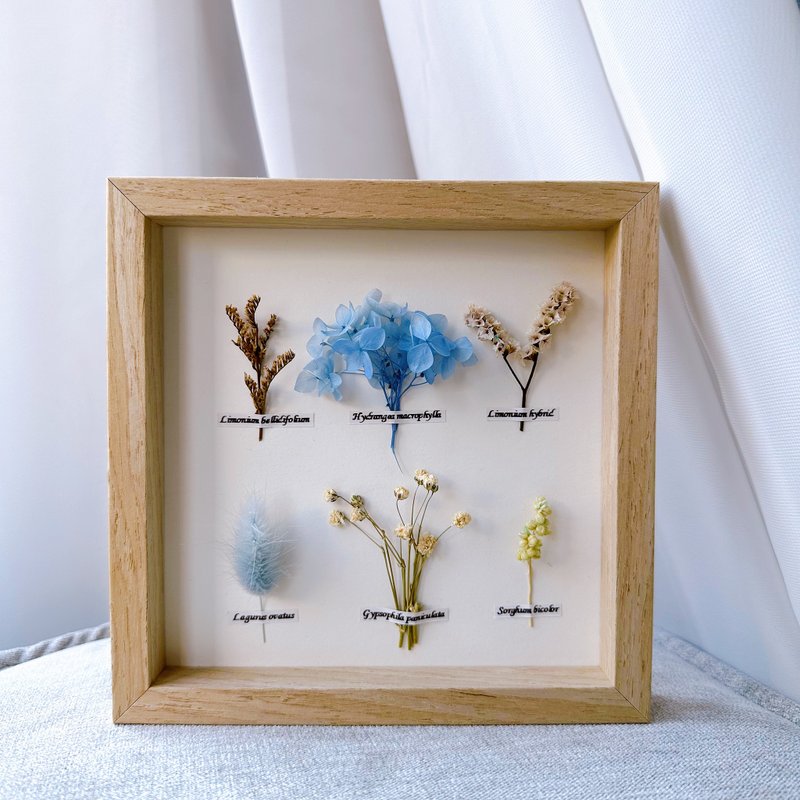 Flower frame - blue. Botanical specimens. Valentine's Day gift. birthday gift. Graduation gift. bridesmaid ceremony - Dried Flowers & Bouquets - Plants & Flowers 