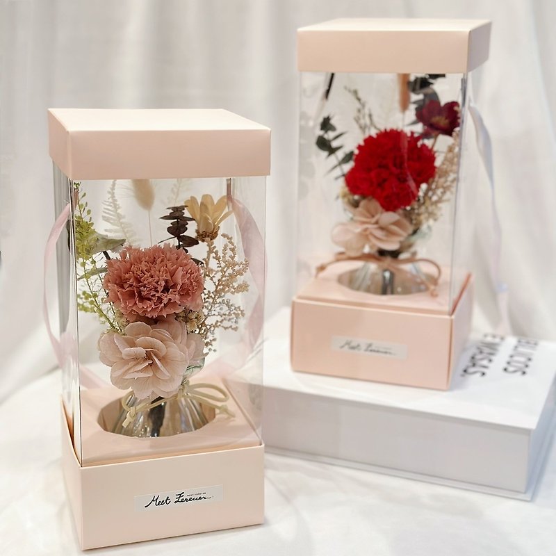 【遇見恆久】暖心母親節永生康乃馨手提花盒 共2款 - 乾花/永生花 - 植物．花 卡其色