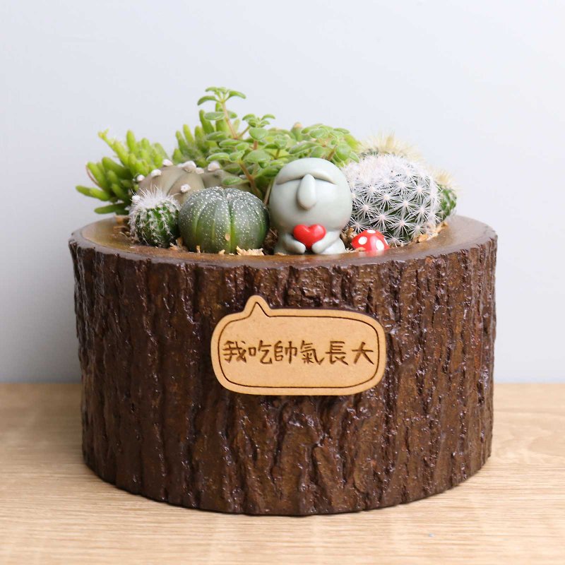 Moai cactus potted plant name plate customized log Easter Island birthday opening gift - Plants - Wood Brown