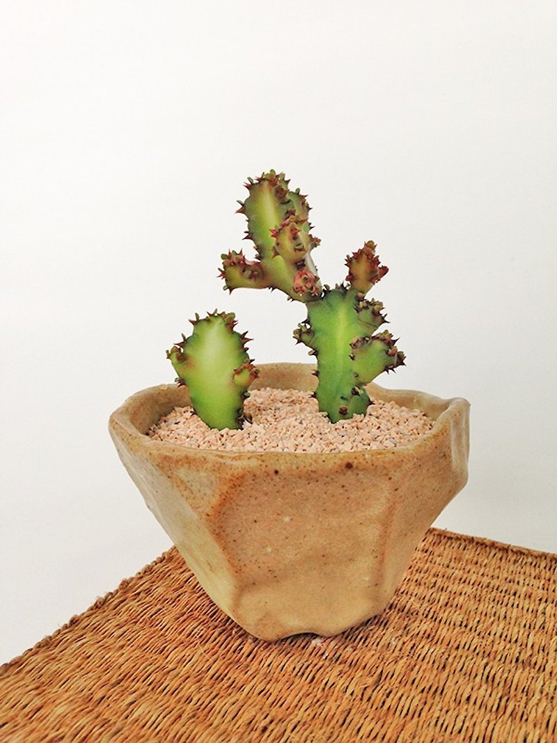 Small ceramic plant pot for cactus , handmade pottery , small pot