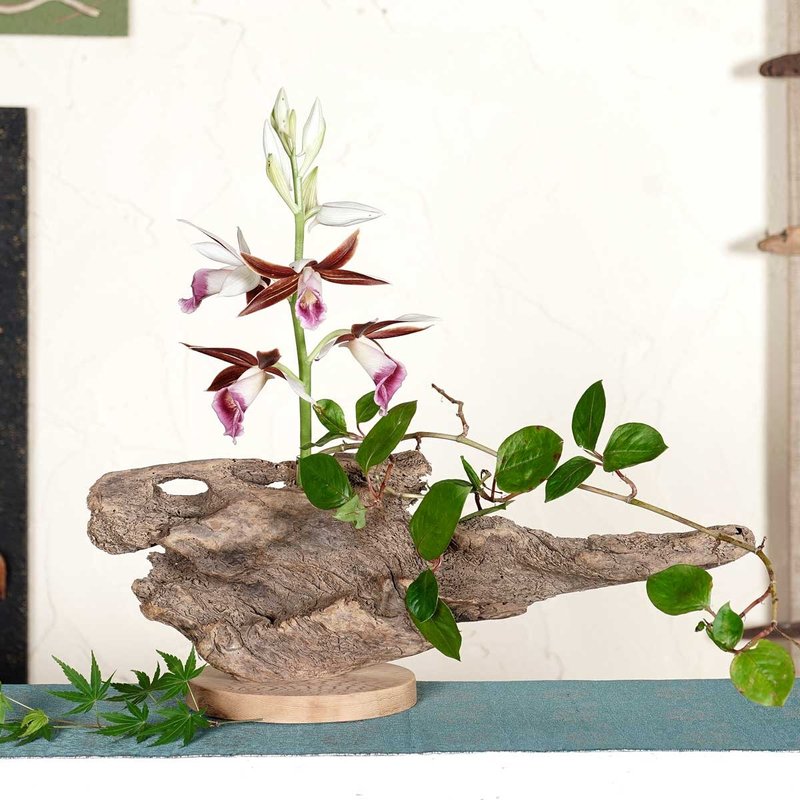 お気に入りの花を飾ってみませんか　流木の花器、木の花瓶、小さな花瓶、木の一輪挿し　７４ - 花瓶 - 木頭 咖啡色