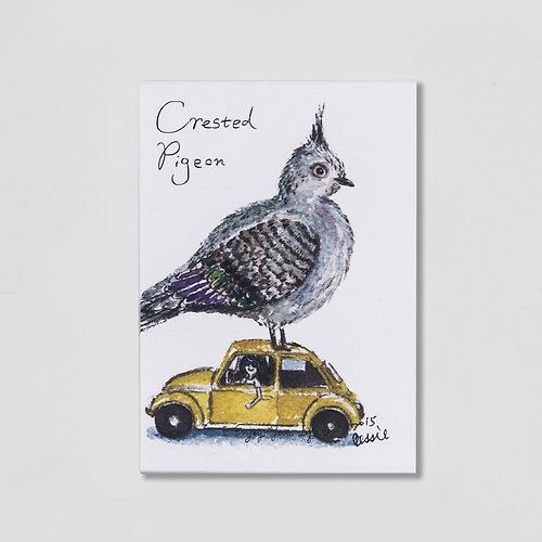 被子單觀察家 BIRDER 系列 - Crested-Pigeon