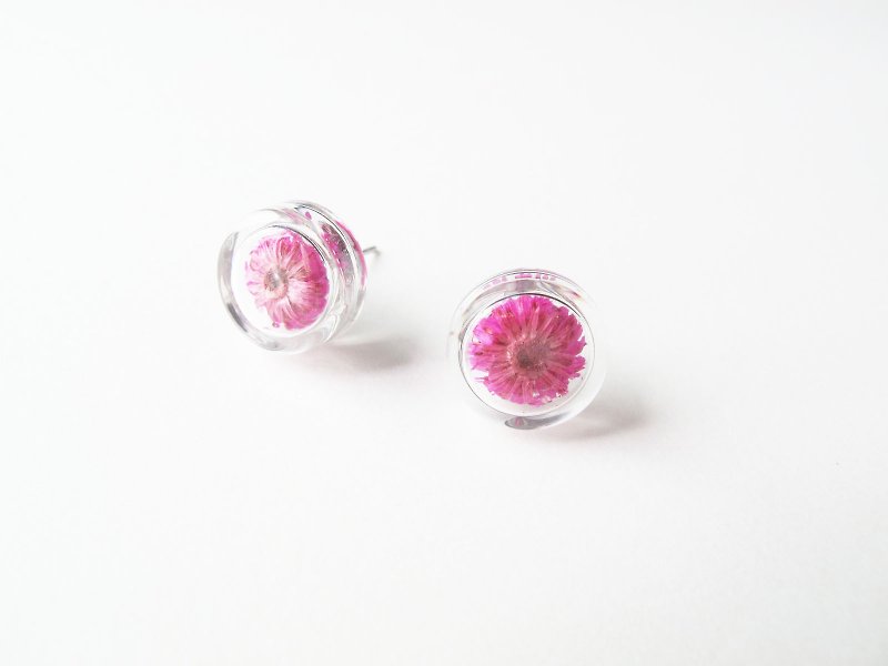 * Rosy Garden * Dried flowers deep pink Anaphalis sinica round glass earring - Earrings & Clip-ons - Glass Pink