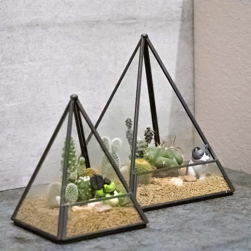 Pyramid succulent architectural plant - จัดดอกไม้/ต้นไม้ - แก้ว สีเขียว