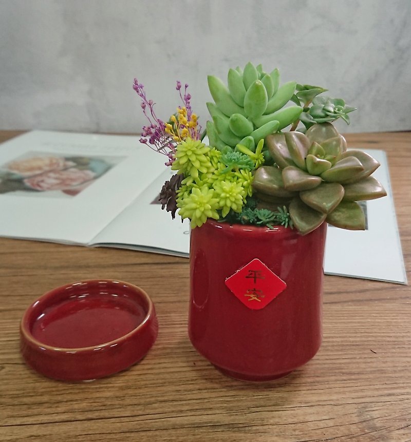 竹報平安--多肉組盆+底盤| 盆栽 禮物 生日 開幕 - 植栽/盆栽 - 植物．花 紅色