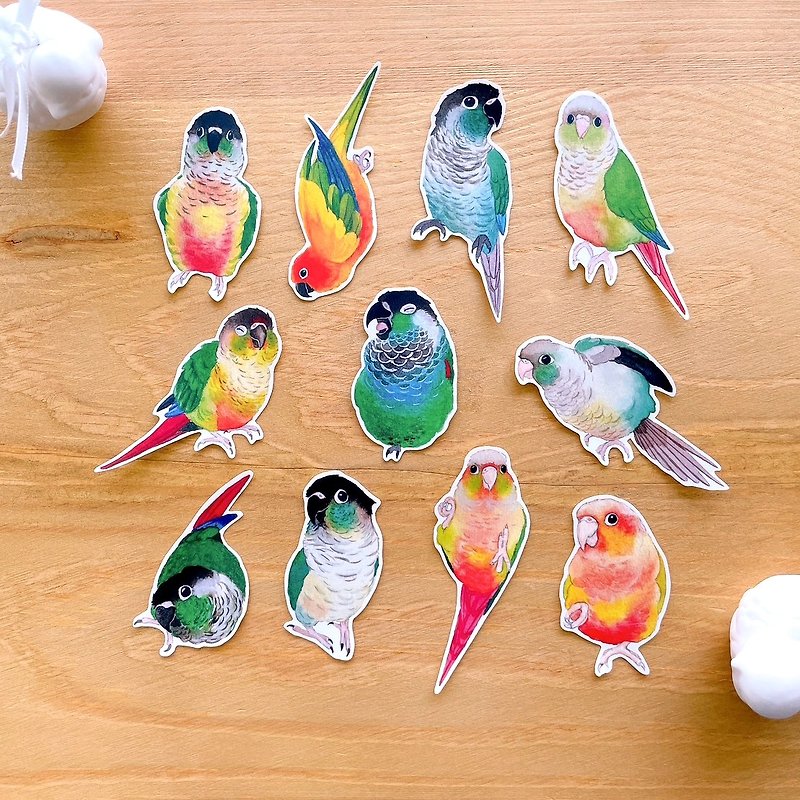 Rolia's Handmade Sun Parrot Waterproof Transparent White Ink Sticker (Small Sheet Set) - Stickers - Paper 
