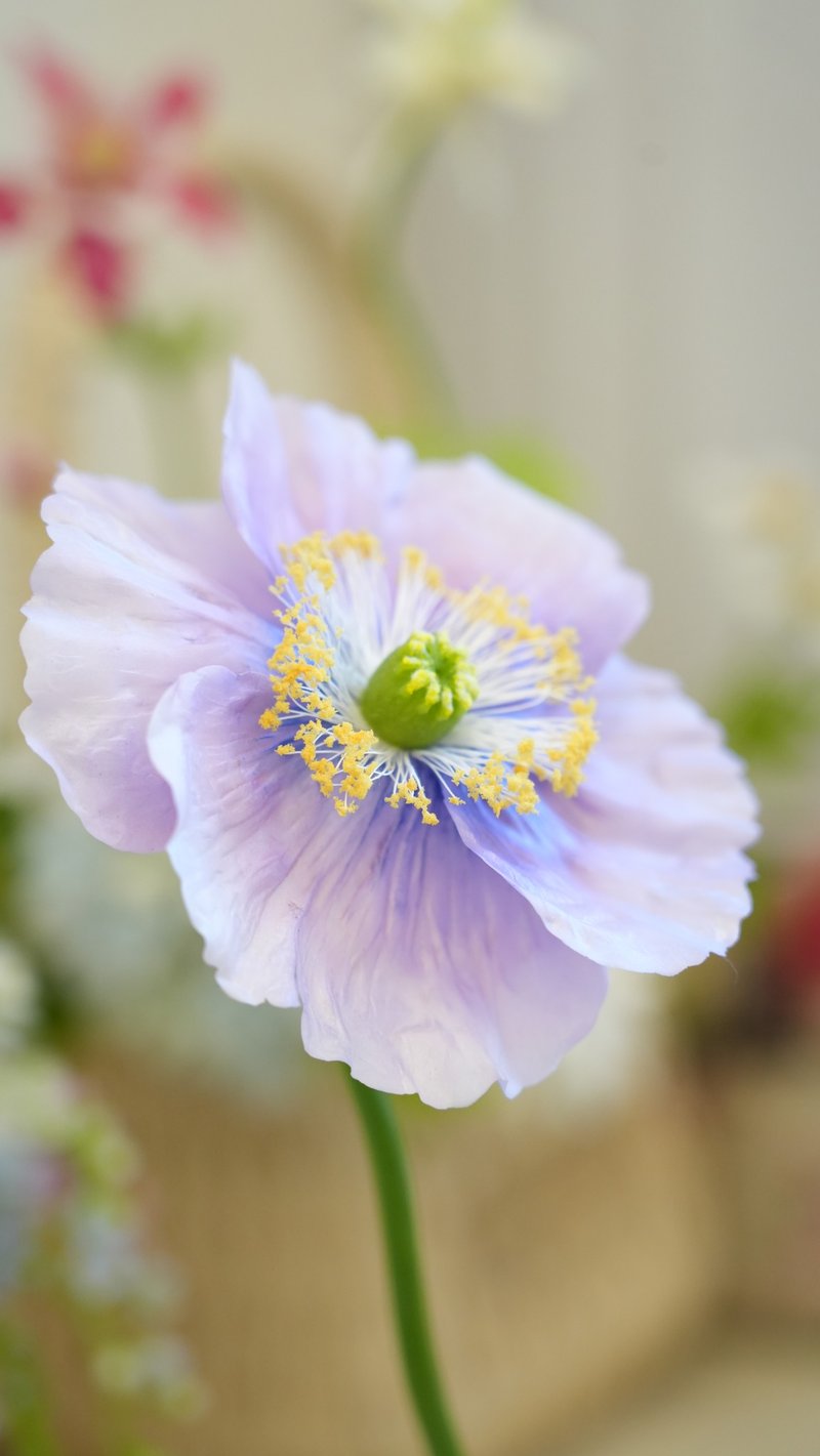 The professional clay flower art course teaches the production of various flower types and three types of poppy stamens - Plants & Floral Arrangement - Clay 