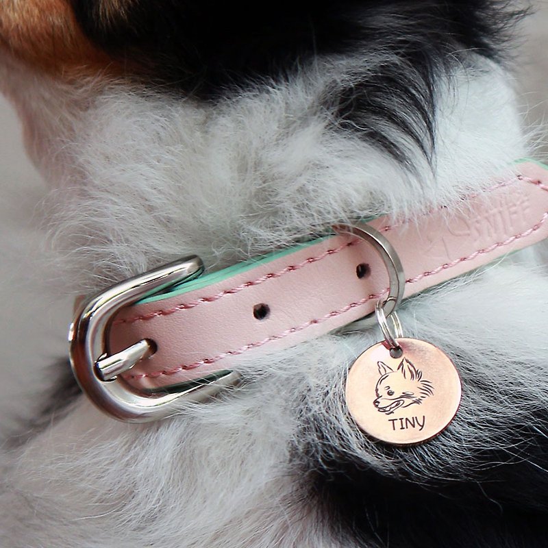 Pet ID tag-ป้ายชื่อสัตว์เลี้ยงสแตนเลสกลมบาง S 20 mm โรสโกลด์ | Sniff
