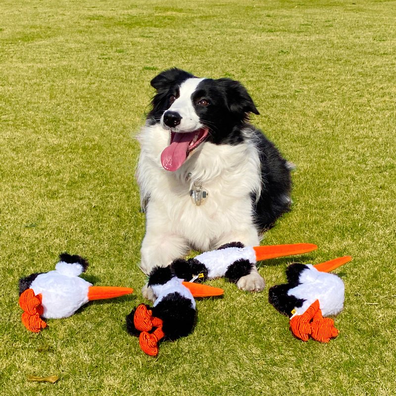 【犬貓玩具】Petsville派思維  毛毛絲襪小鳥(4款) - 玩具 - 貓/狗玩具 - 聚酯纖維 白色