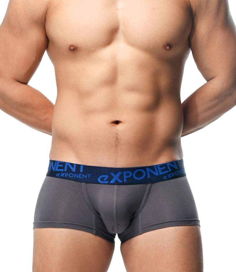 eMBRACE Extreme Comfort Modal Trunks-Iron Grey - Men's Underwear - Cotton & Hemp Gray