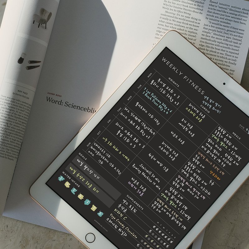 健身記錄日誌 I 運動追蹤 I 健康管理筆記本 I fitness I diary - 電子手帳及素材 - 其他材質 