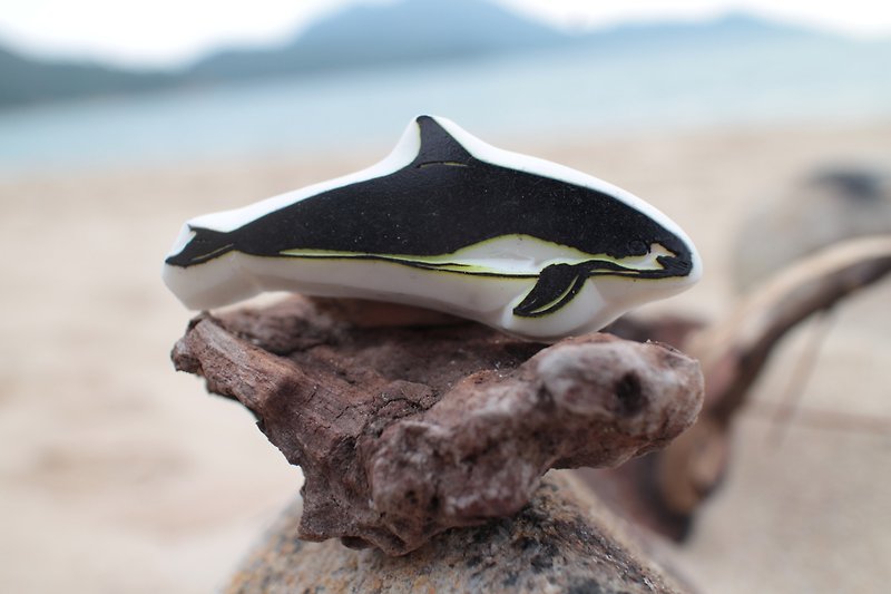 鯨豚印章 小頭鼠海豚 - 印章/印台 - 橡膠 透明