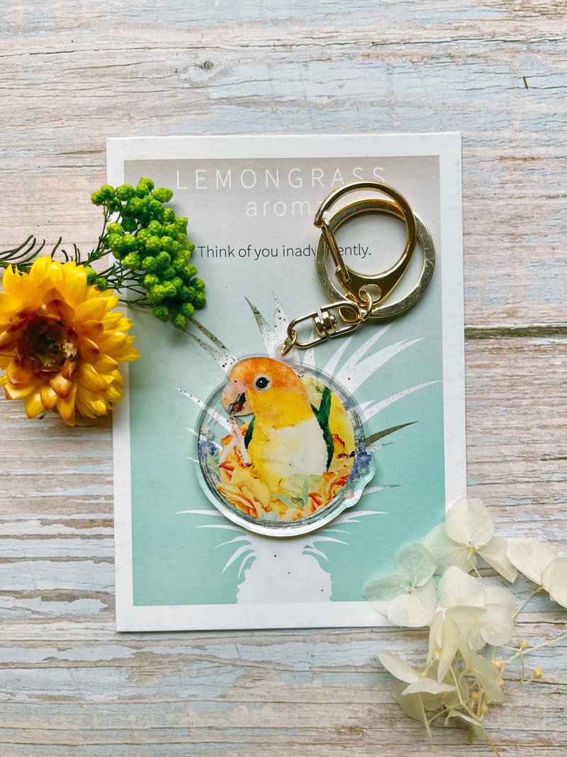 凱克鸚鵡-鑰匙圈/手繪插畫/壓克力鑰匙圈 - 鑰匙圈/鑰匙包 - 壓克力 橘色