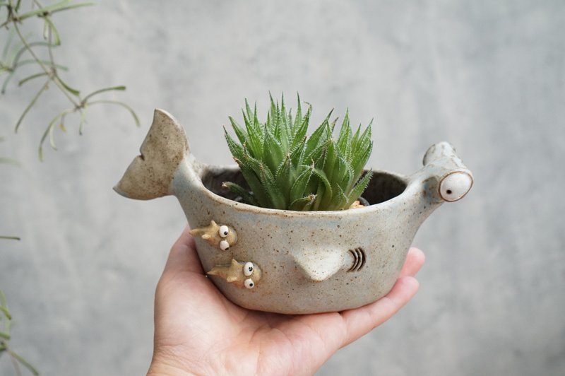 Hammerhead shark plant Pot,animal planter with succulent,succulent pots handmade - Plants - Pottery Blue