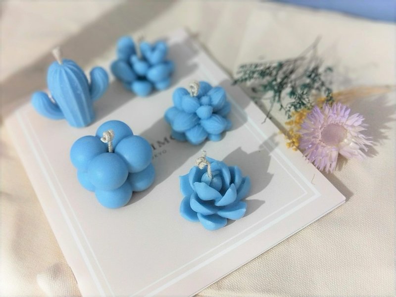 Haruka Succulents Scented Candle - Candles & Candle Holders - Wax Blue