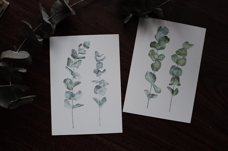 Silver-Yang 手繪明信片|| 植物系列。尤加利葉(二張一套) - 心意卡/卡片 - 紙 綠色