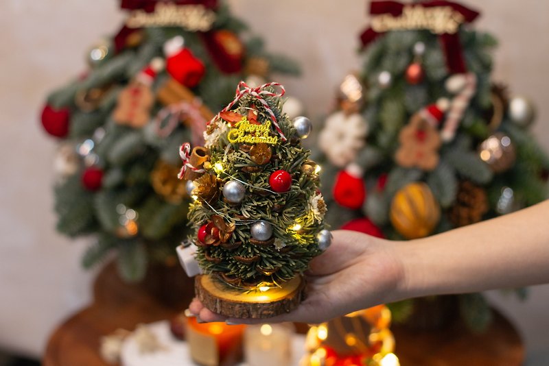 松果聖誕樹 交換禮物 聖誕禮物 新鮮聖誕樹 迷你聖誕樹 - 花藝/盆栽/植栽 - 植物．花 綠色