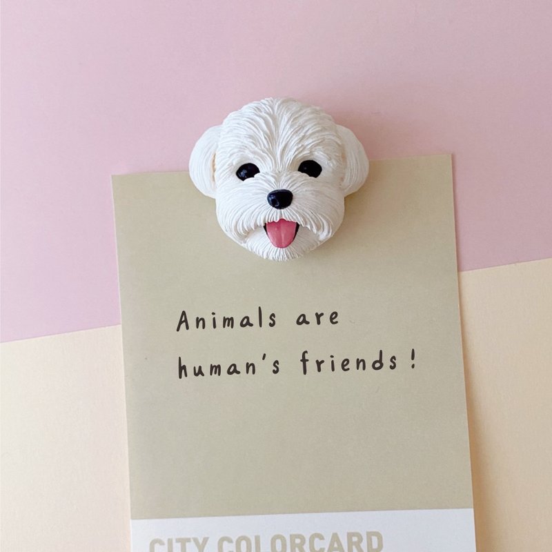 Maltese Magnet Dog Head Magnet Shaped Magnet Office Healing Object - Magnets - Resin White