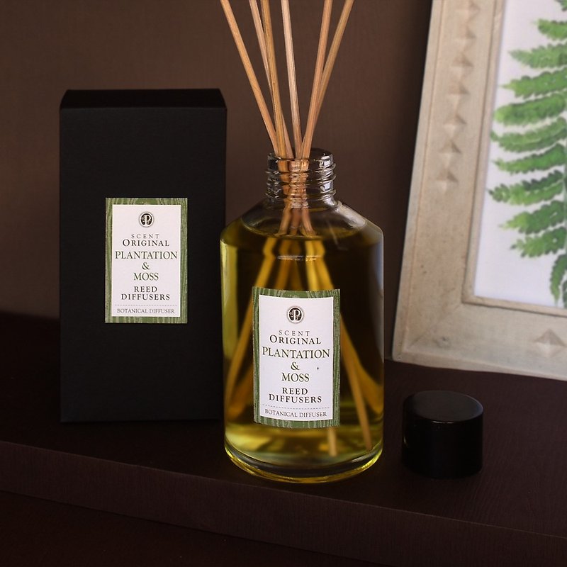 Woody fragrance │ moss spring moss home essential oil spreading bamboo │60ml│140ml│240ml - Fragrances - Glass Brown
