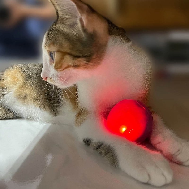 luminous cat toy luminous planet - ของเล่นสัตว์ - วัสดุอื่นๆ 