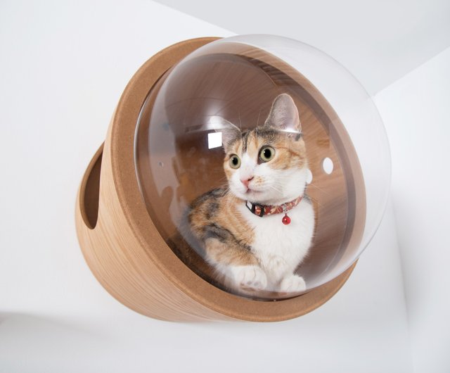 cat bubble bed