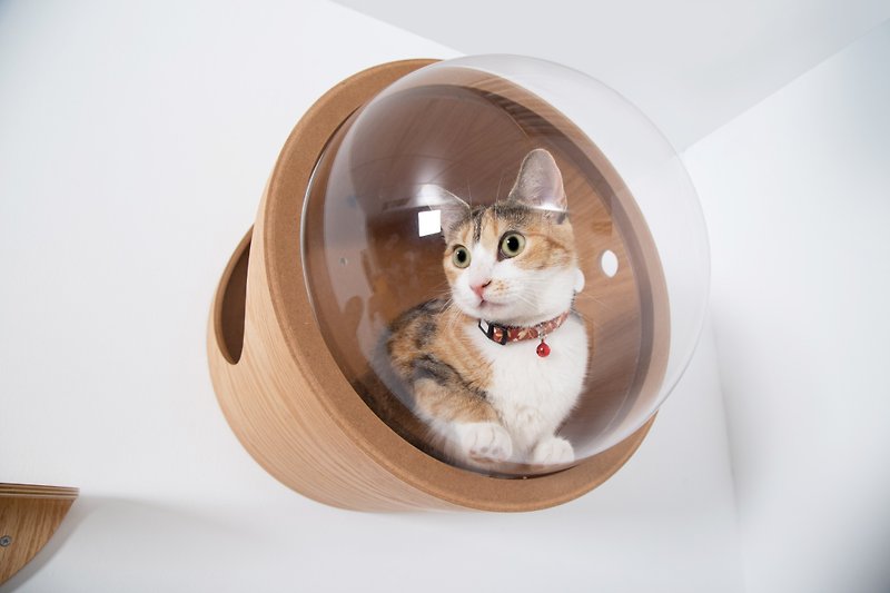 Clear Cat Bed, Standing Cat house | Spaceship Gamma-Oak| MYZOO - Bedding & Cages - Wood 