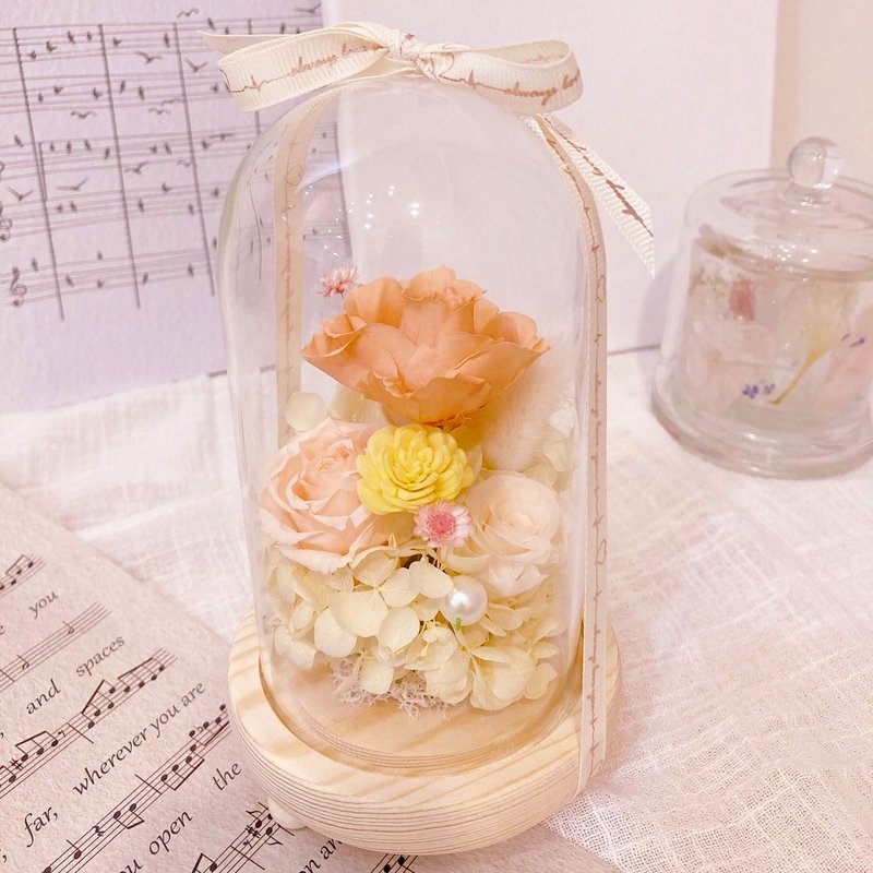 [Customized] Sunshine Orange Rose Glass Bell Jar/Color can be customized/Home Decoration - Items for Display - Plants & Flowers Orange