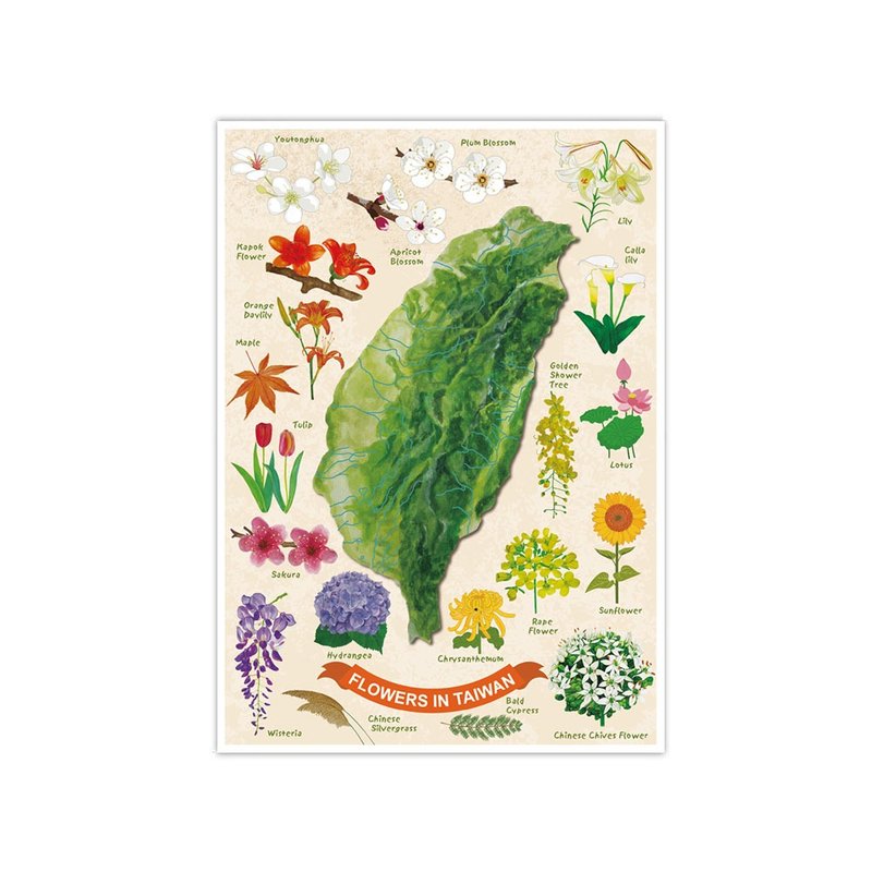 我愛台灣明信片--台灣植物 - 卡片/明信片 - 紙 橘色