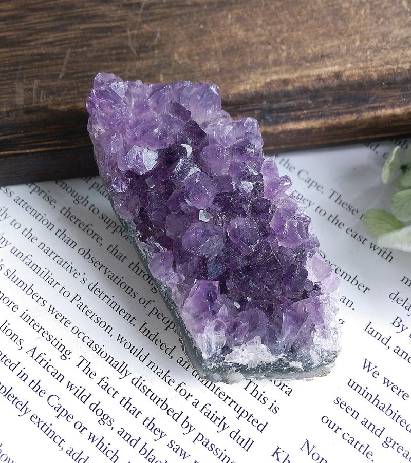 Amethyst 巴西產地 原皮紫水晶  晶簇 天然礦石 原礦 - 擺飾/家飾品 - 其他材質 