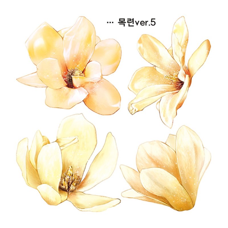 Magnolia 3types (blackraccoon) Vintage collage design paper sticker - 貼紙 - 紙 多色