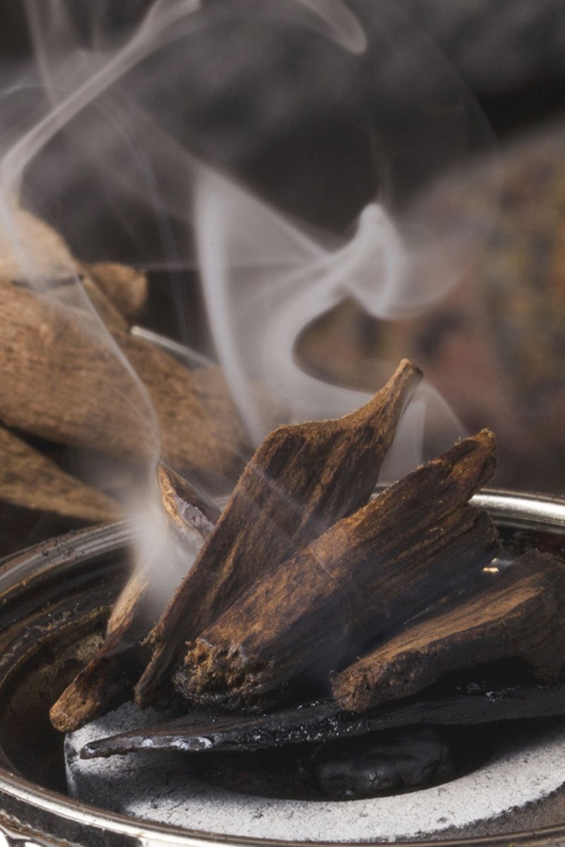 5ml 香薰精油 - Smoked Oud - 香氛/精油/擴香 - 精油 白色